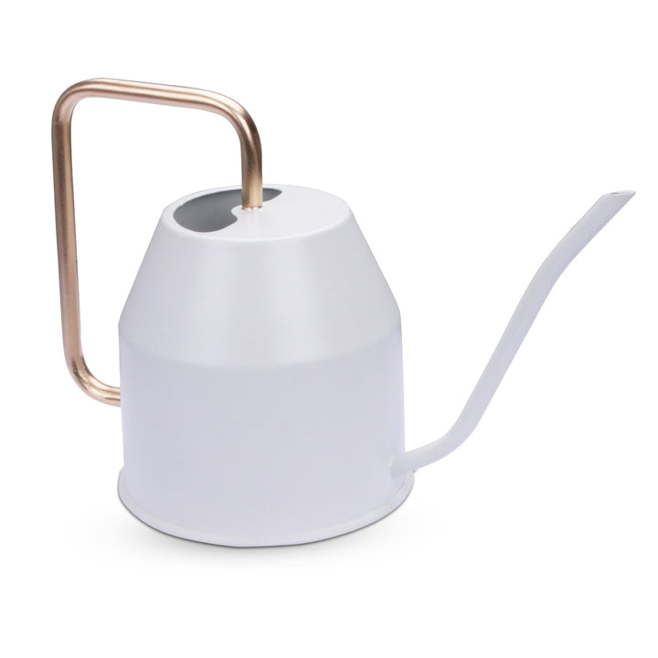 BonKaso 1 Litre Metal Watering Can Pot for Home Gardening Watering Plants & Flower, Stylish Long Spout Handle (Green- 1 Liter)