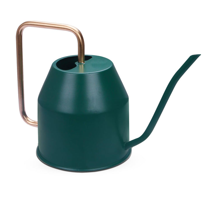 BonKaso 1 Litre Metal Watering Can Pot for Home Gardening Watering Plants & Flower, Stylish Long Spout Handle (Green- 1 Liter)
