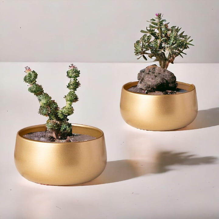 ecofynd 5.5 Inch Zoe Metal Plant Pots, Indoor Small Planter Flower Pots with Drainage Hole, Home Garden Decor Planter for Living Room Bedroom Interior (Gold Finish, POT016)