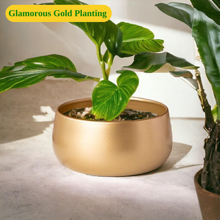 ecofynd 5.5 Inch Zoe Metal Plant Pots, Indoor Small Planter Flower Pots with Drainage Hole, Home Garden Decor Planter for Living Room Bedroom Interior (Gold Finish, POT016)