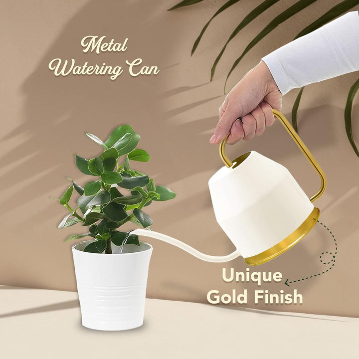 Bombay Greens Metal Watering Can for Plants | Gardening Tools for Watering | Gardening Can | Flower Watering Pot for Plants – White (0.9 Litre)