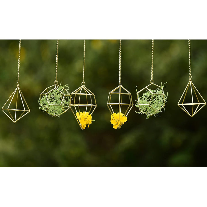 libproqia Gold Hanging Air Plants Holders Small Tillandsia Airplants Hangers 6 Pack Geometric Wire Himmeli Air Fern Display Planter with Chains Airferns Metal Hanging Holders