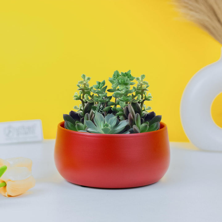 Urban Plant Metal Flower Planter For Living Room | Office Decor Item | Succulent Pots | Table Top Planter | Gift Item, Black