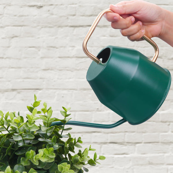 BonKaso 1 Litre Metal Watering Can Pot for Home Gardening Watering Plants & Flower, Stylish Long Spout Handle (Green- 1 Liter)