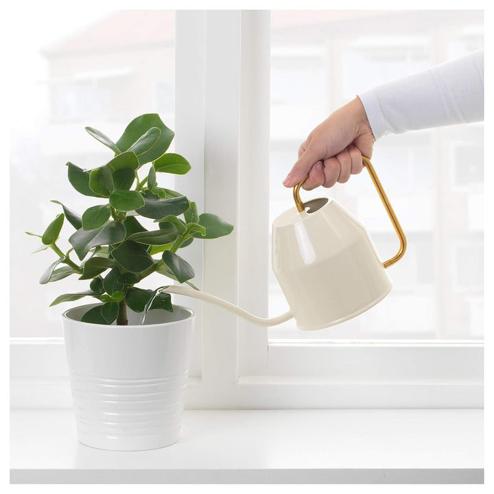 Ikea Stainless Steel Watering Can - 0.9 l, Ivory, Gold