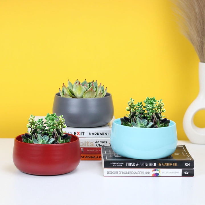 Urban Plant Metal Flower Planter For Living Room | Office Decor Item | Succulent Pots | Table Top Planter | Gift Item, Black