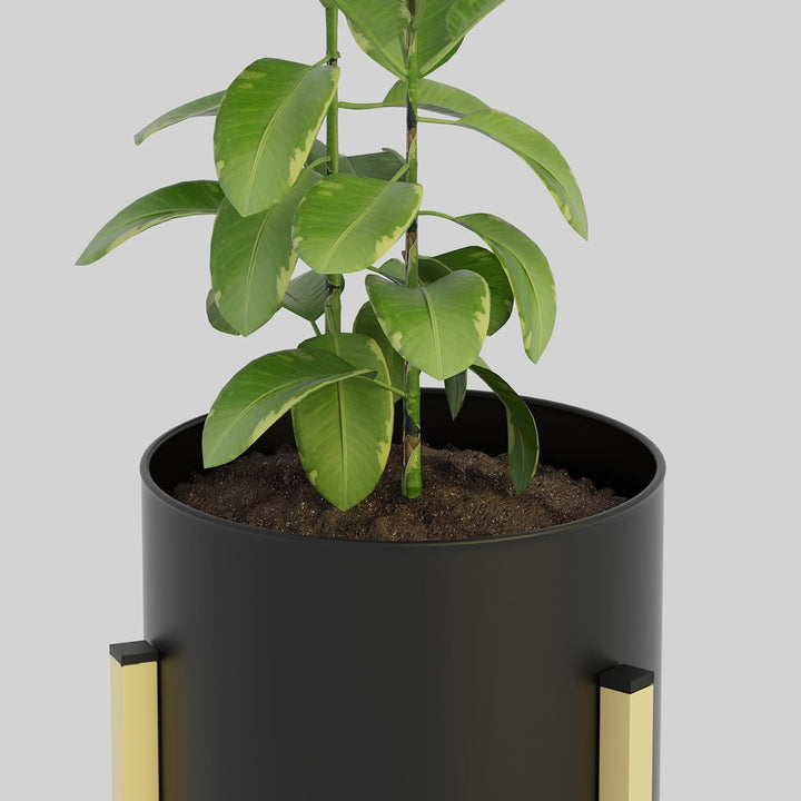 WonderStand HELIOS Plant Stand for Living Room | Metal Planters for Indoor Living | Planter Pots included (Set of 3 Flower Pots, Black)